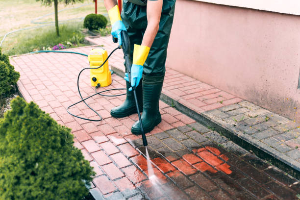 Best Dumpster Area Cleaning  in Whitwell, TN